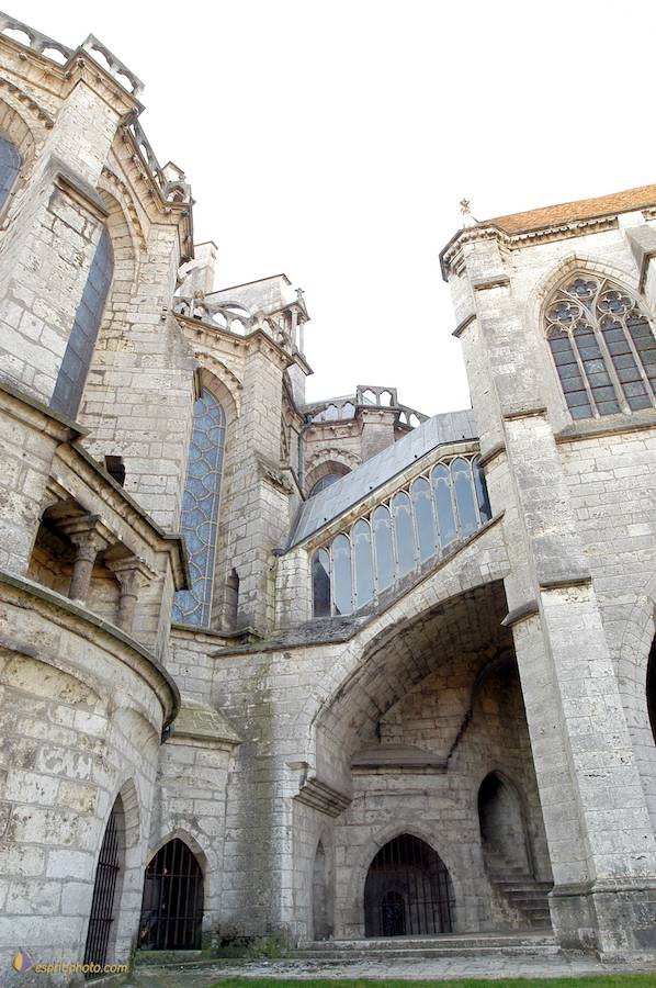 Nom de l'image : D1023123-01b_(c)Norbert-JUNG — Description :